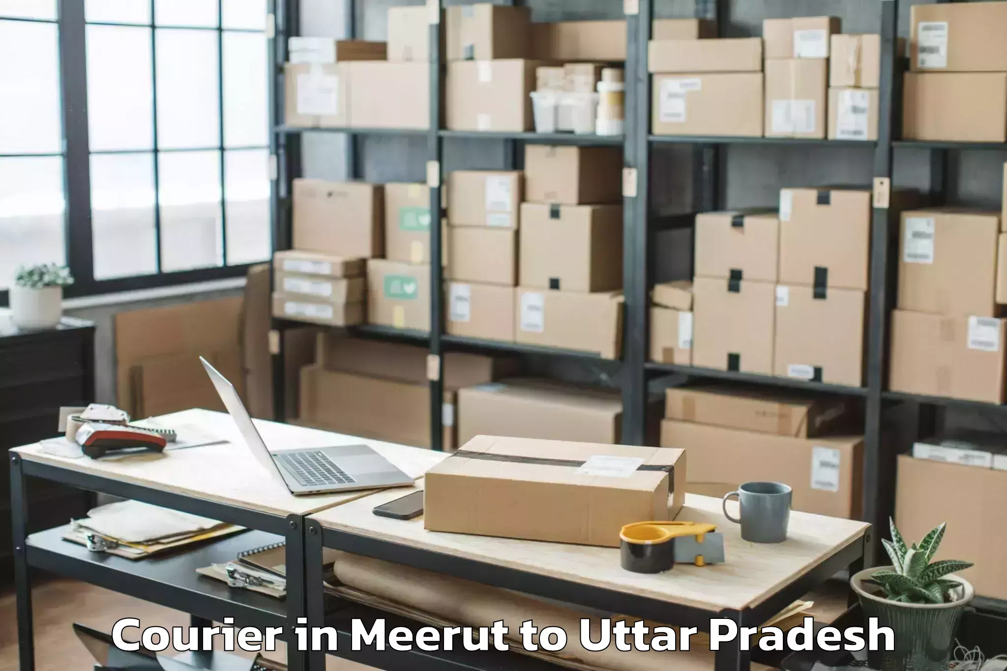 Book Meerut to Bilsi Courier